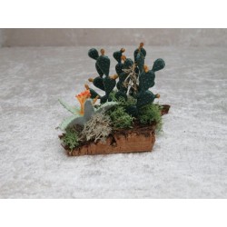 Kaktusfeigen 7 cm
