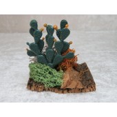Kaktusfeigen 7 cm