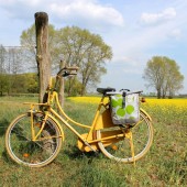 Fahrradtasche Manzanas grün| Einzelfahrradtasche