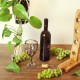 Flaschenausgießer für Wein - Öl - Essig | Stopfen mit Dosierer | aus Kork und Olivenholz