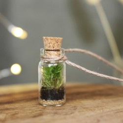 Kleines Terrarium als Halskette - Mini Bosque