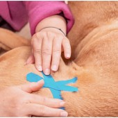 Kinesiotaping für Hunde - Online Kurs