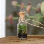 Kleines Terrarium als Halskette - Mini Bosque
