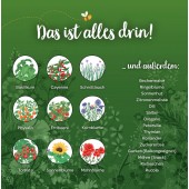 Adventskalender Saatgut mit Türchen