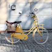 Fahrradtasche / Einzeltasche Leopard braun