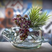 Blumenschale Schildkröte | Mundgeblasenes Glas