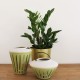Lantern green