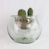 Blumenvase Terrarium efekt