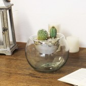 Blumenvase Terrarium efekt