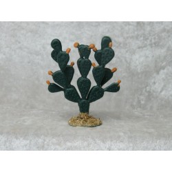 Kaktus doppelt 6 cm